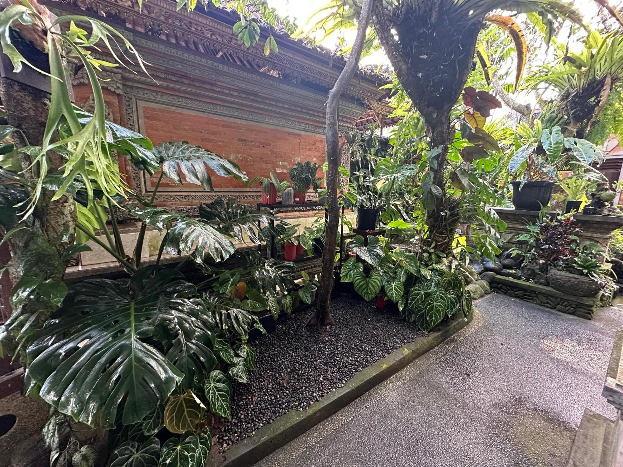 Naeera Guest House Ubud Kültér fotó