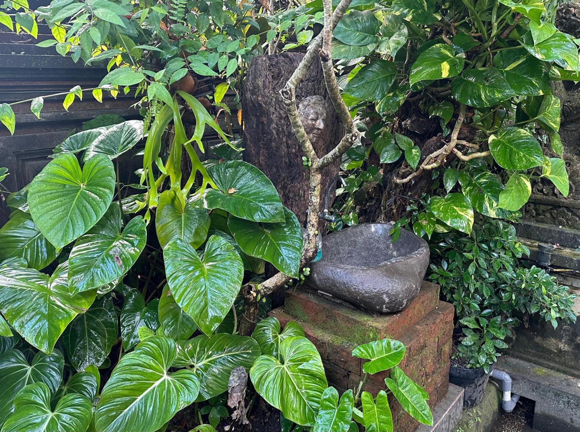 Naeera Guest House Ubud Kültér fotó