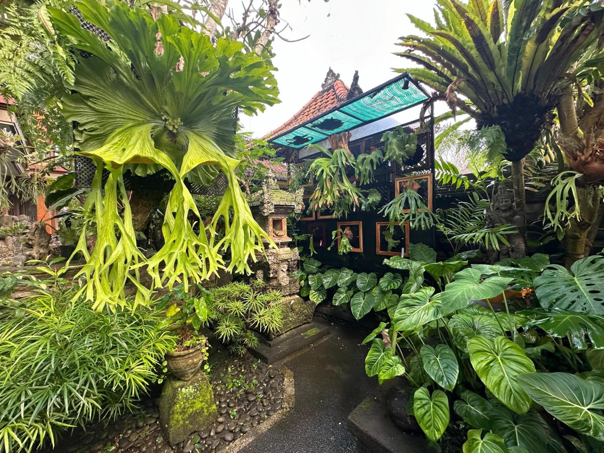 Naeera Guest House Ubud Kültér fotó